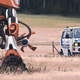Illustration for article titled Simon Stålenhags futurescapes sport classic Euro cars, dinos, mechs